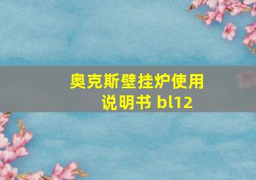 奥克斯壁挂炉使用说明书 bl12